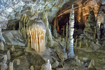 Slovenia gay tour - Postojna Caves