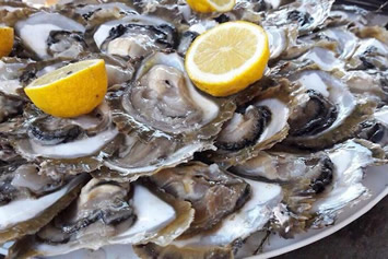 Ston Croatia oysters