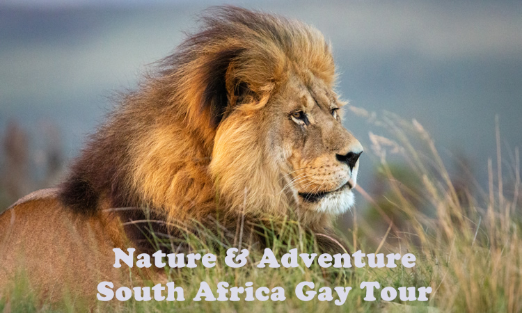 Nature & Adventure - South Africa Gay Group Tour