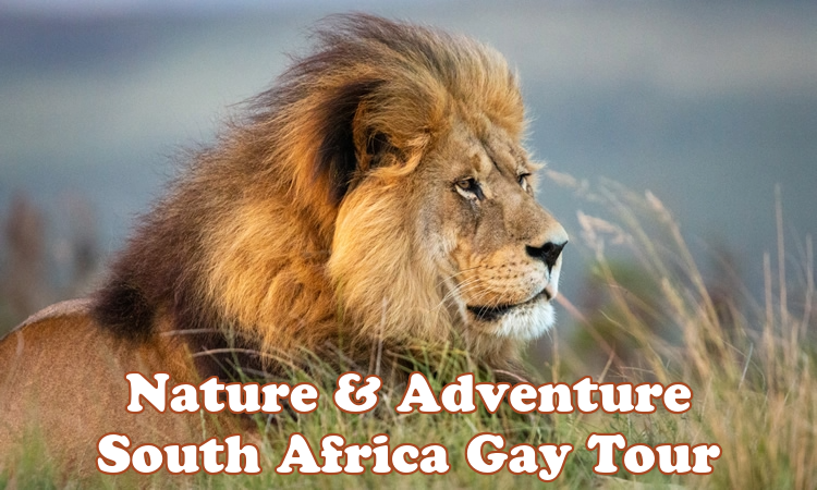 Nature & Adventure - South Africa Gay Group Tour