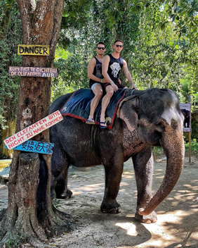 Sri Lanka gay tour elephants