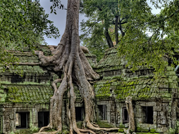 Angkor, Cambodia gay tour