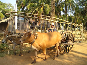 Cambodia village trip