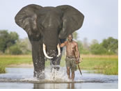 Botswana gay safari