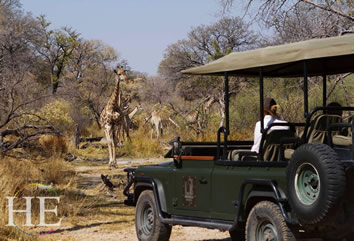 Gay Botswana safari tour