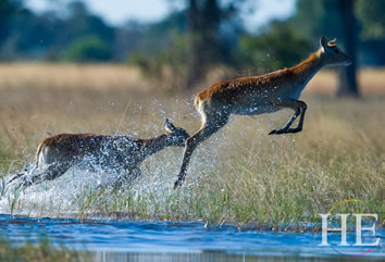 Botswana Africa gay safari