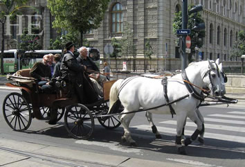 Gay Central Europe tour - carriage ride