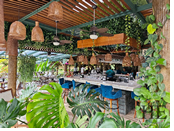 Costa Rica Tropical Bar