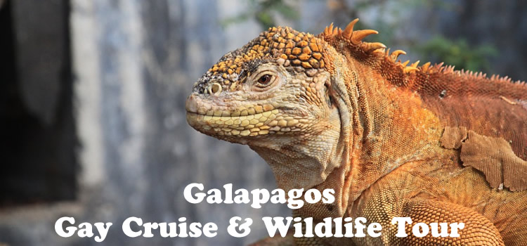 Galapagos Gay Cruise 2024