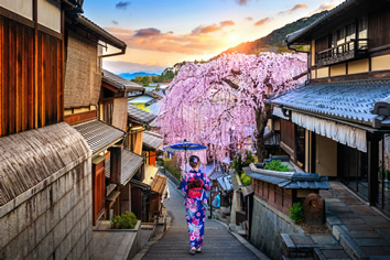 Japan gay cultural tour