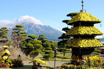 Japan Gay Tour - Kyoto bamboo grove