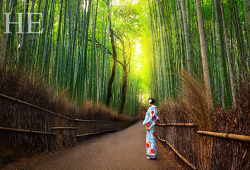 Japan Gay Tour - Kyoto bamboo grove