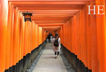 Japan gay group tour - Kyoto Shrine