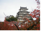 Japan gay tour - Himeji Castle