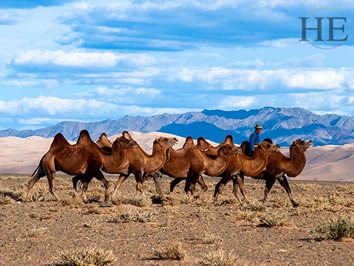 Mongolia gay tour - Khongor Sand Dunes