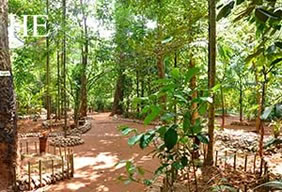 Sri Lanka Matale spice garden