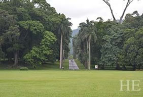 Sri Lanka Peradeniya Botanical gardens