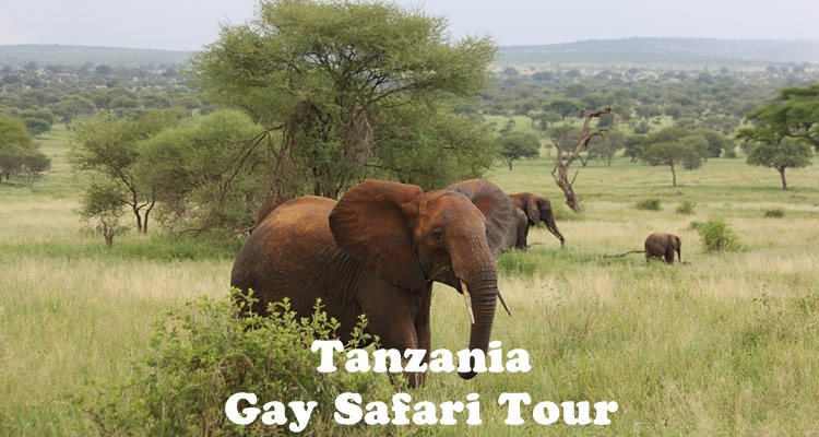 Tanzania Gay Safari Tour