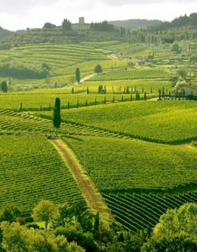 Chianti Italy gay hiking tour