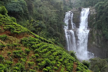 Sri Lanka gay tour - Ramboda waterfalls