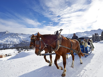 Arosa Gay Ski Week Horse Drawn Carriage Ride