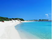 Salento gay tour - Porto Cesareo