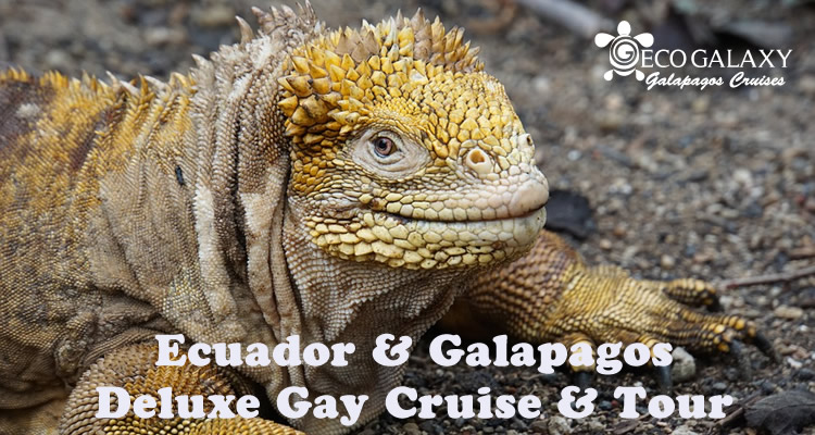 Ecuador & Galapagos Gay Cruise & Tour
