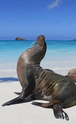 Galapagos Islands Gay Cruise
