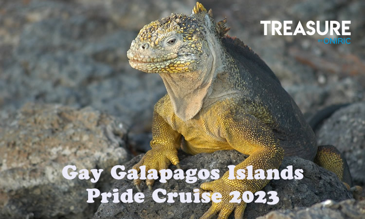 Galapagos Gay Pride Cruise 2023