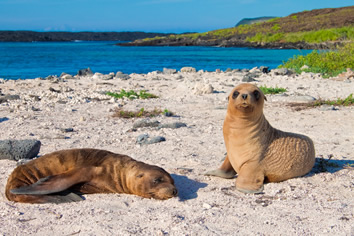 Galapagos Islands gay cruise