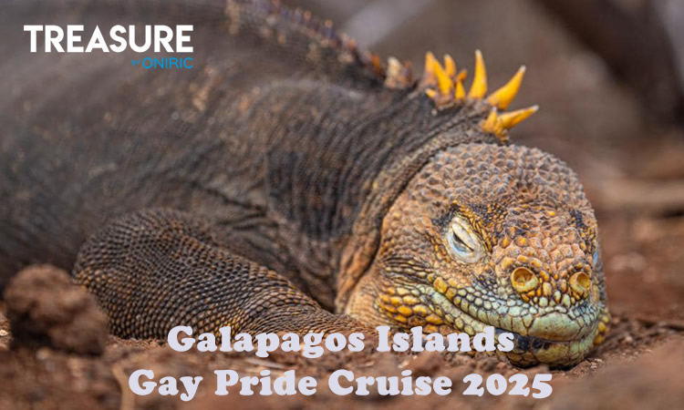 Galapagos Gay Pride Cruise 2025