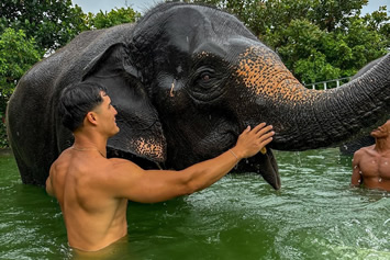 Phuket Elephant sanctuary