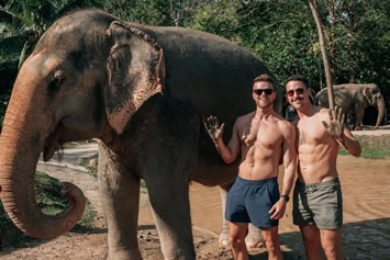 Phuket elephants gay tour