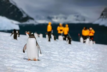 Antarctic Peninsula gay cruise