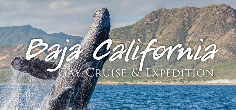 Baja California Mexico Gay Expedition Cruise
