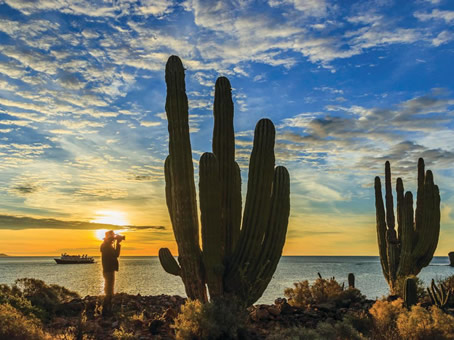 Baja Mexico gay expedition cruise