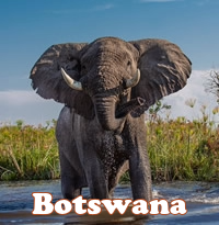 Botswana Okavango Delta gay safari