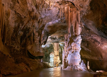 Slovenia gay tour - Postojna Caves