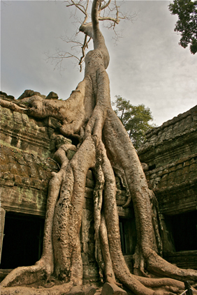 Angkor Wat All-Gay Tour