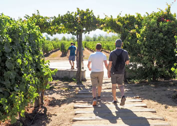 Chilean wine country gay tour