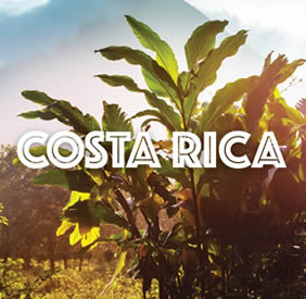 Costa Rica gay travel
