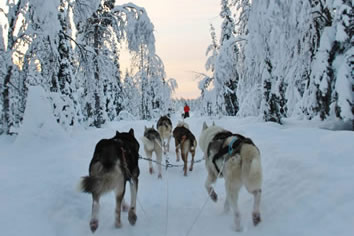 Finland gay winter tour
