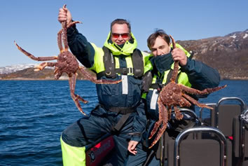 King Crab safari