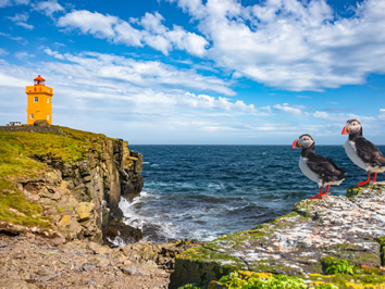 Grimsey Iceland gay cruise
