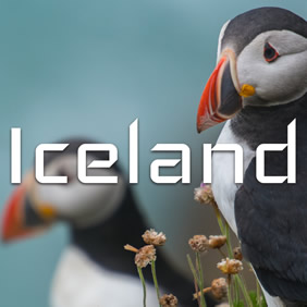 Iceland Gay Travel