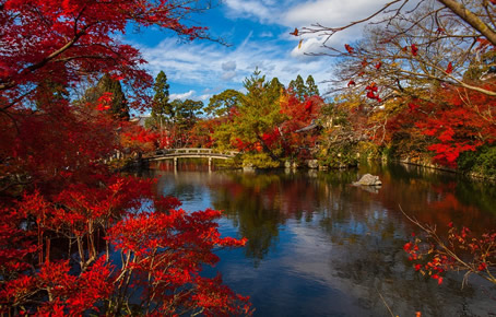 Japan fall foliage gay tour