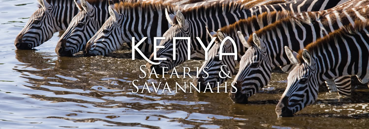 Kenya Gay Safari Tour