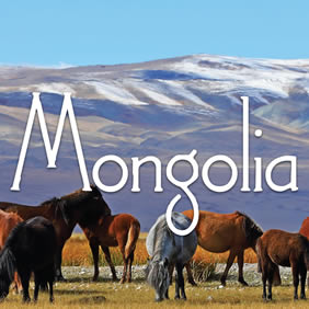 Mongolia Gay Travel