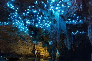 New Zealand gay tour glowworm caves