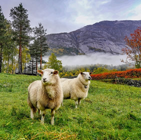 Norwegian gay adventure